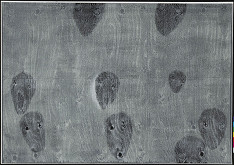 Ondřej Michálek – Nalezené portréty 