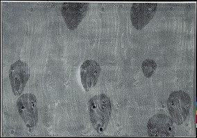 Ondřej Michálek – Nalezené portréty 