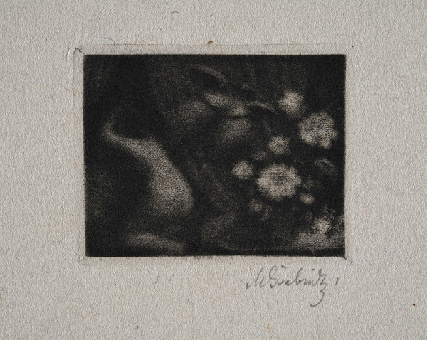 Max Švabinský – Bílá kamélie (Malá, Na šířku) 