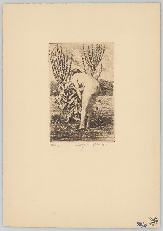 Jaroslav Skrbek – Divizny 