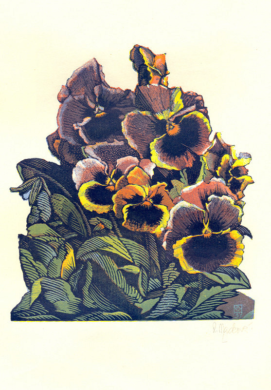 Anna Macková – Macešky 