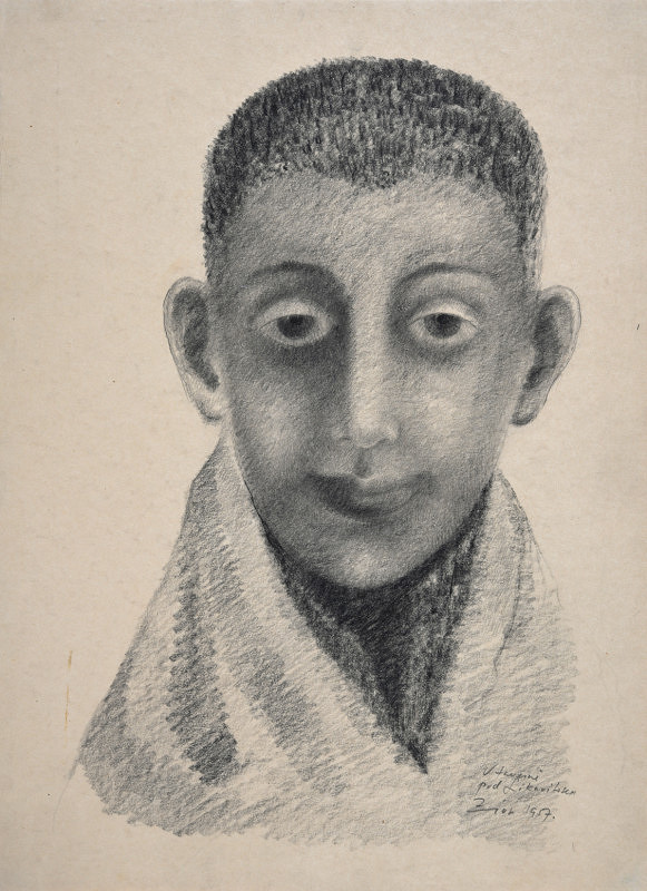 Ladislav Zívr – Hlava chlapce