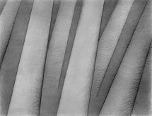 Jitka Svobodová – Kmeny II 