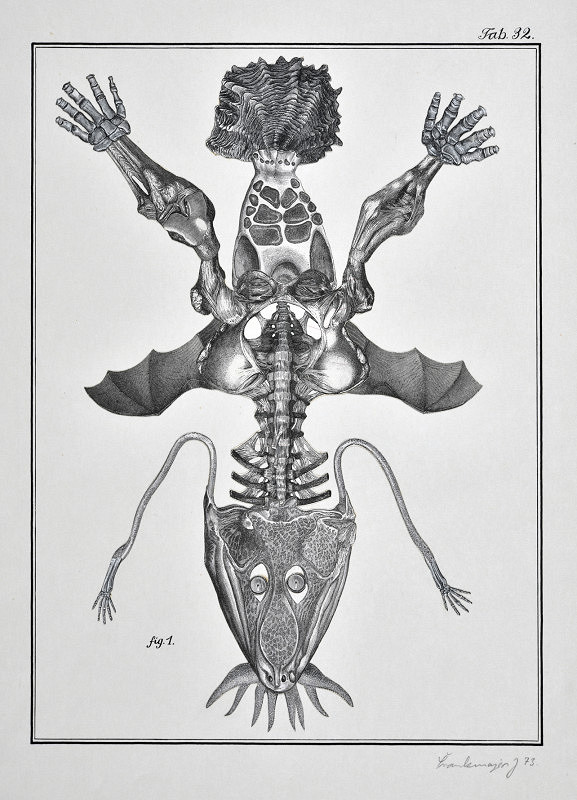 Jan Švankmajer – Švank-Meyers Bilder-Lexikon, Zoologie, Tab. 32 