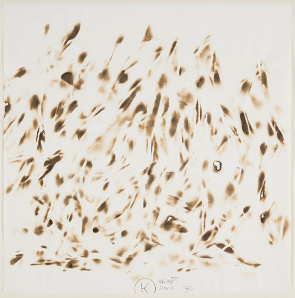 Svatopluk Klimeš – Z cyklu D (10 Plameny) 