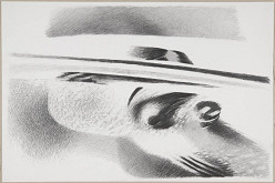 Bořivoj Borovský – Kresba 