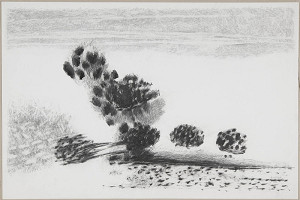 Bořivoj Borovský – Kresba 