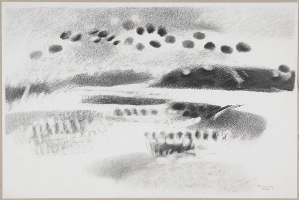 Bořivoj Borovský – Kresba 