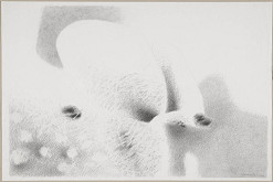 Bořivoj Borovský – Zahrady ještě nekvetou I 