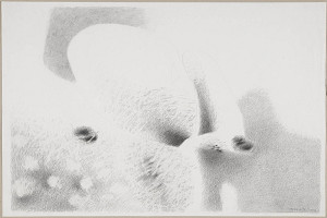 Bořivoj Borovský – Zahrady ještě nekvetou I 