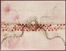 Dana Puchnarová – Spolužití 