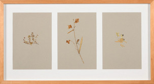 Zdena Kolečková – Trojí identita 