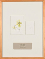 Zdena Kolečková – Trojí identita 