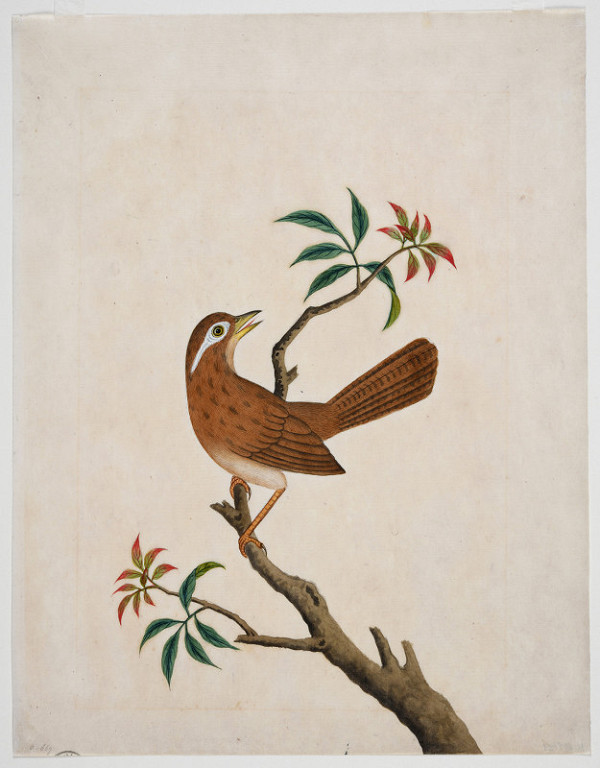 neznámý malíř čínský – Větvička stromu se zpívajícím ptáčkem