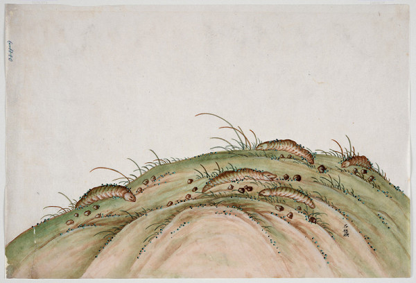 neznámý malíř čínský – Krajina s červy 