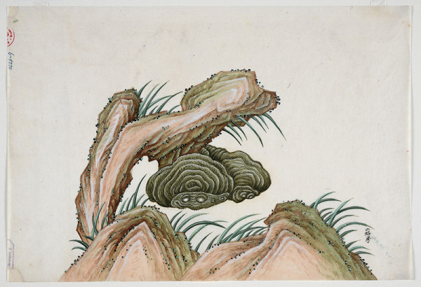 neznámý malíř čínský – Čínská vrba 