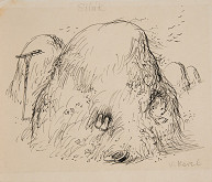 Václav Karel – Sena - silák 