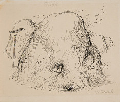 Václav Karel – Sena - silák 