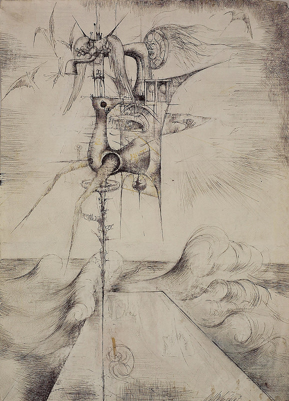 Aleš Veselý – Bogliasco 