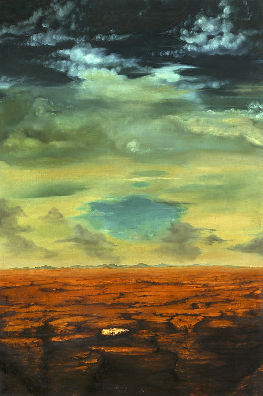 Olga Vyleťalová – Opuštěná krajina 