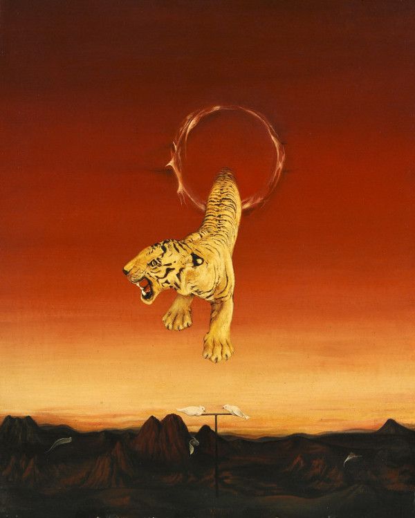 Olga Vyleťalová – Cirkus v přírodě 