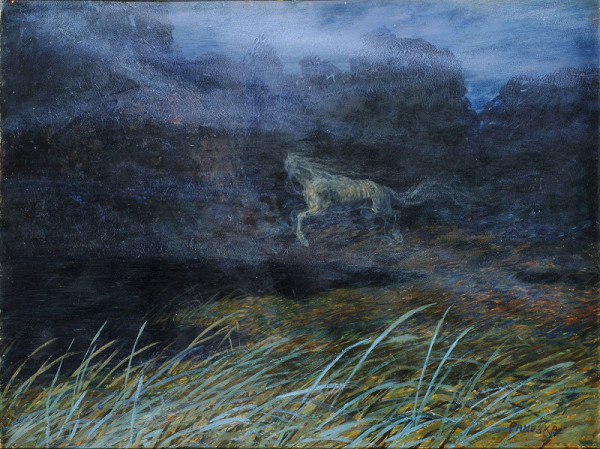 Jaroslav Panuška – Bezhlavý kůň  (Pohádka) 