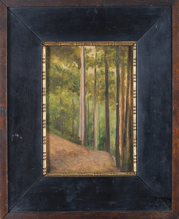 Jan Nowopacký – Jedle 