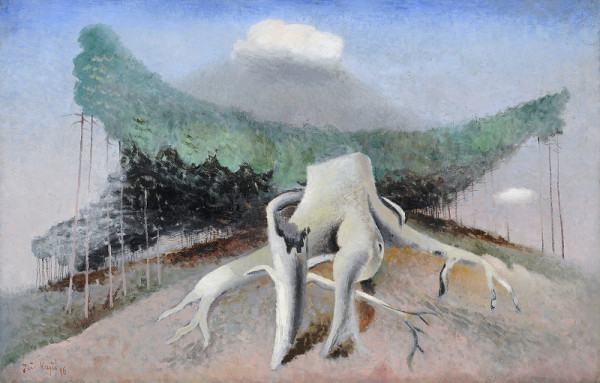 Jiří Krejčí – Pařez 