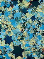 Olaf Hanel – Vyhvězdíno 