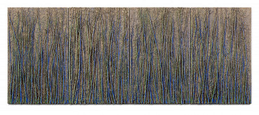 Petra Malinová – V kopřivách (Niternost růstu) 