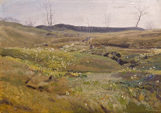 František Kaván – Horská louka 