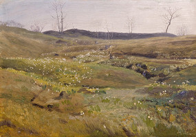 František Kaván – Horská louka 