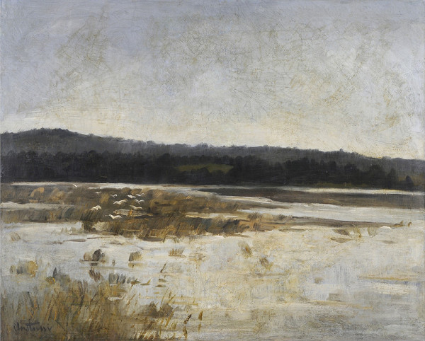 Antonín Chittussi – Rybník s racky 