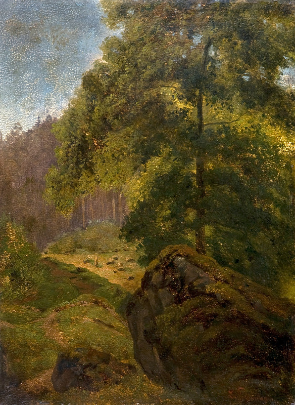 Louisa Piepenhagenová – Les 