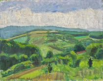 Martin Salcman – Zelená krajina 