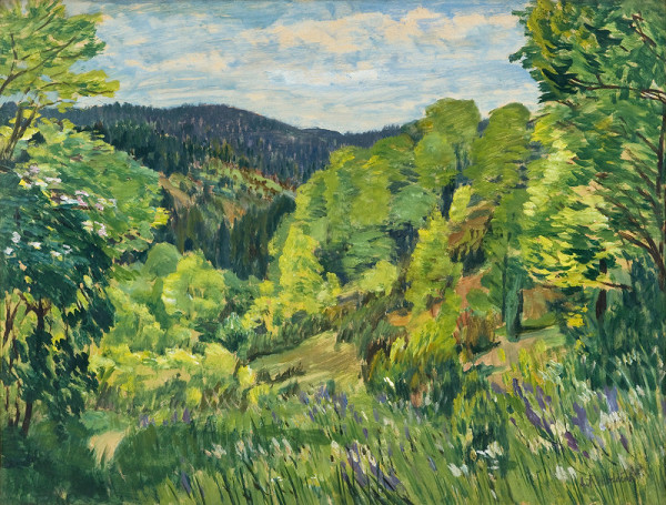 Antonín Hudeček – Lesní stráň 