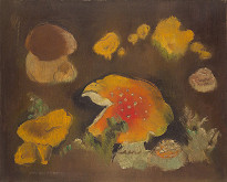 Julie Mezerová-Winterová – Houby v lese 