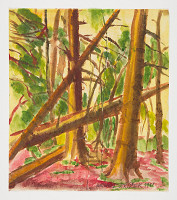 Antonín Střížek – Prales 