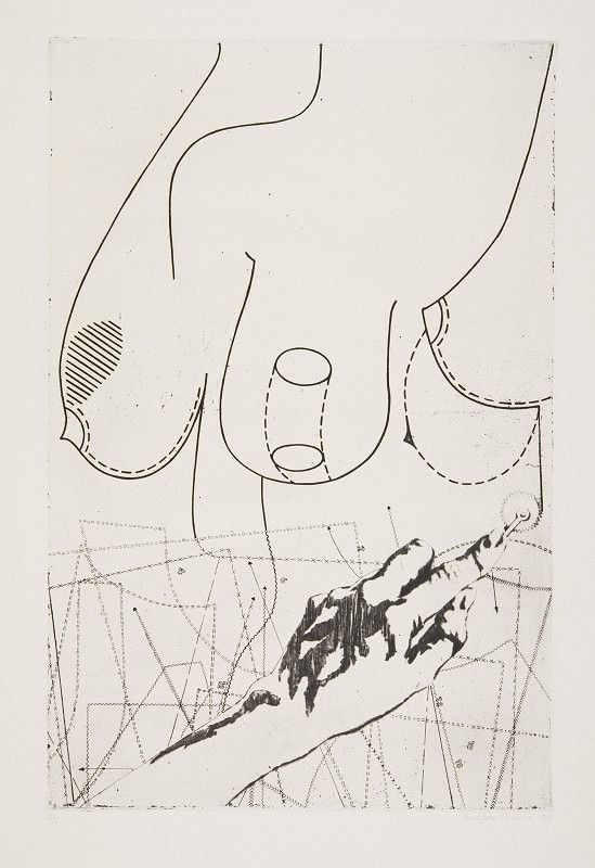 Naděžda Plíšková – Přešívání 