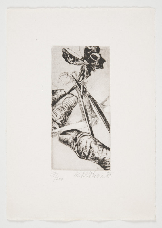 Naděžda Plíšková – Bez názvu 