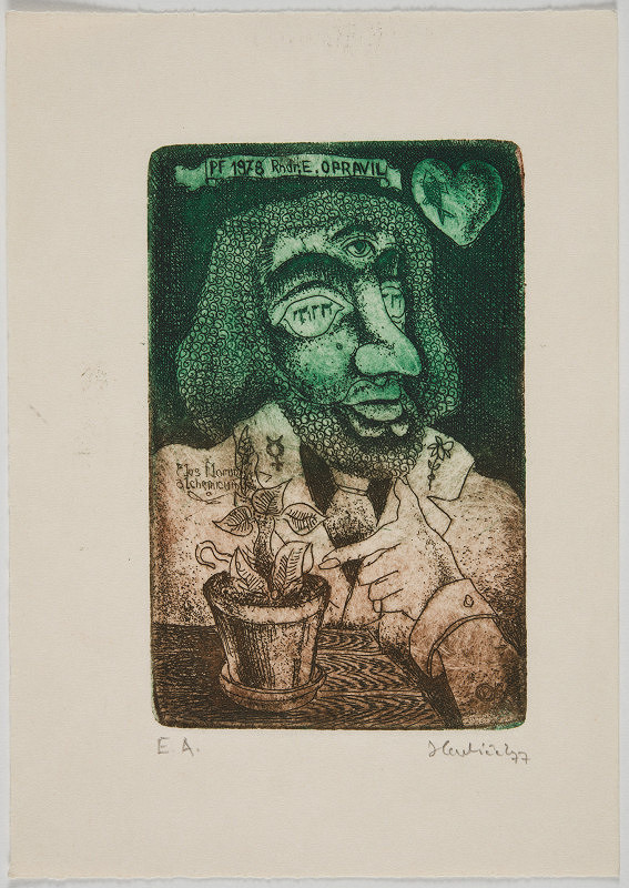 Jiří Havlíček – Novoročenka: PF 1978 RNDr. E. Opravil 