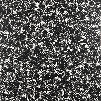 Pavel Hayek – Pelyněk černobýl 