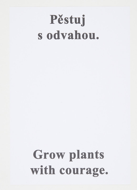 Jan Merta – Katalog 11 Moralities (originální předloha) 