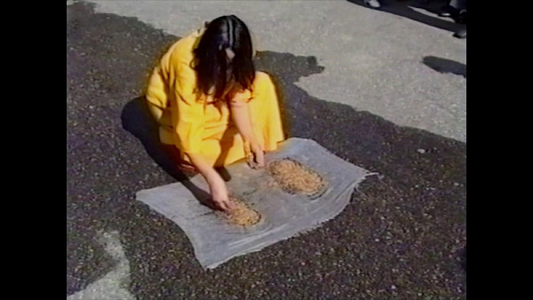 Teresa Murak – Hadříky vizitantek (Umění jako soukromé gesto) (Scierki wizytek [Sztuka jako gest prywatny]) 