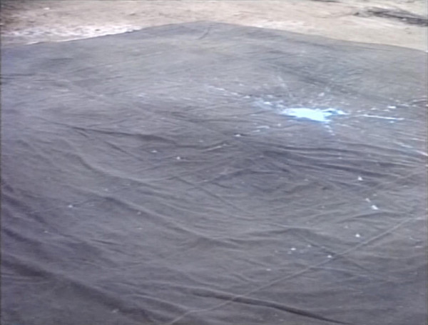 Markéta Vaňková – Akce most 