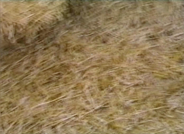 Ilona Németh – Poznámky z labyrintu 