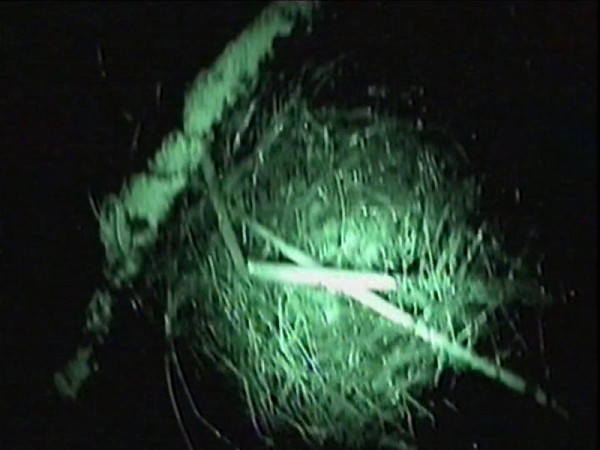 Miloš Šejn – Noční těla (Sv. Anna) 