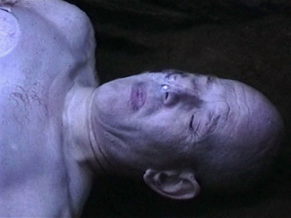 Miloš Šejn – Tvář 