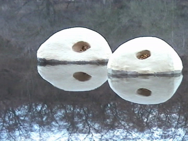 Michaela Maupicová – Kry 