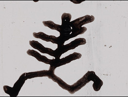 Rudolf Němec – Proměny 